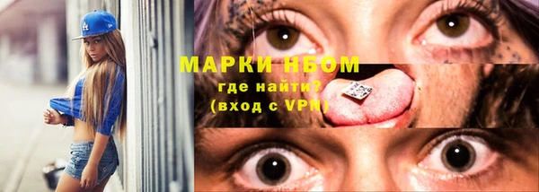 СК Барнаул