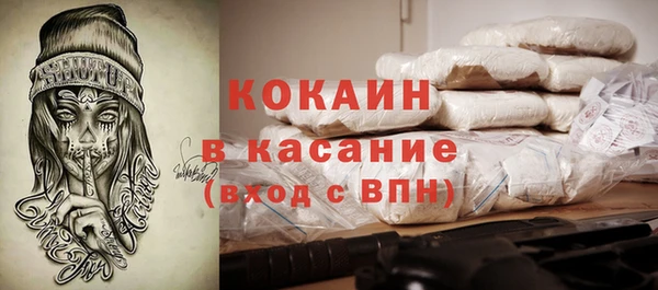 СК Барнаул