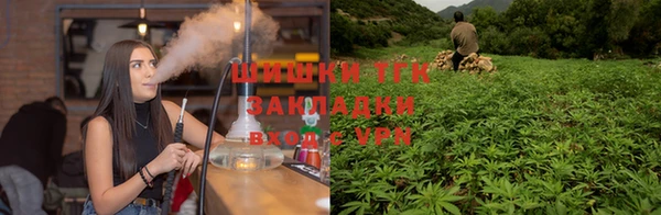 СК Барнаул