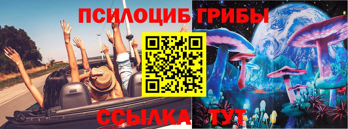 Галлюциногенные грибы GOLDEN TEACHER  Вход с VPN  Алексин 
