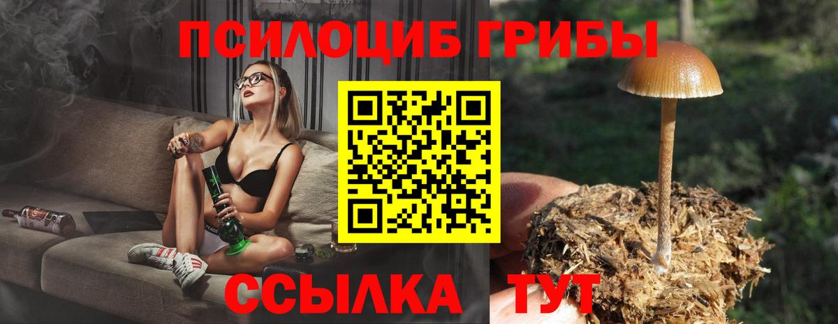 Псилоцибиновые грибы GOLDEN TEACHER Алексин